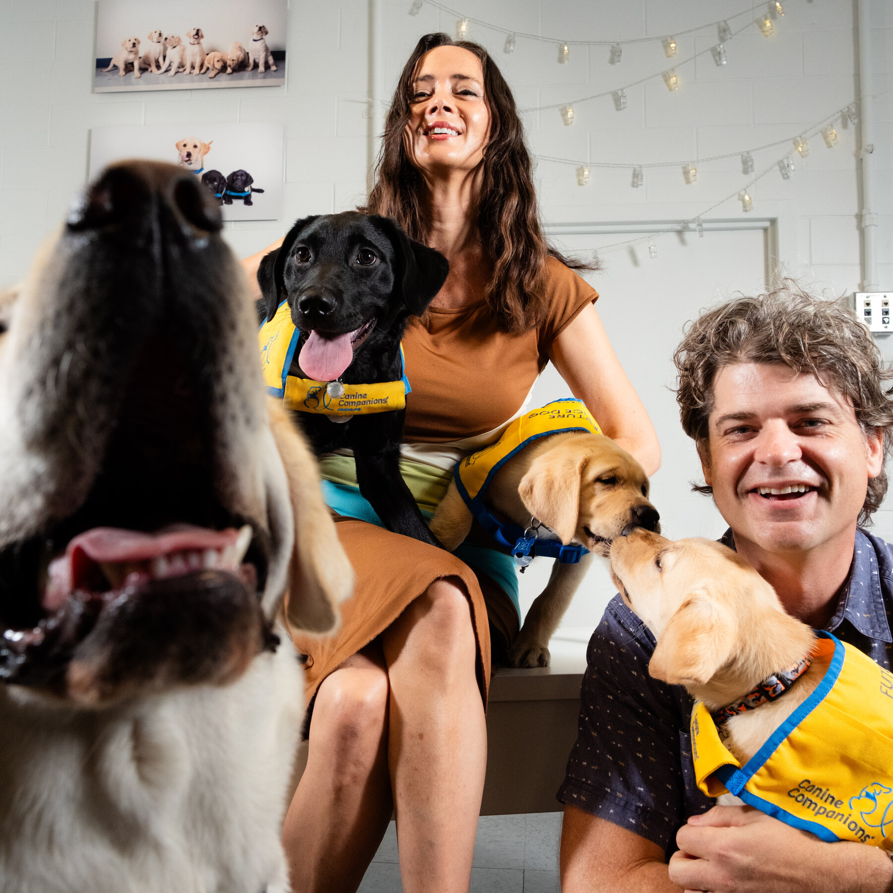 Brian Hare and Vanessa Woods with service dogs in training